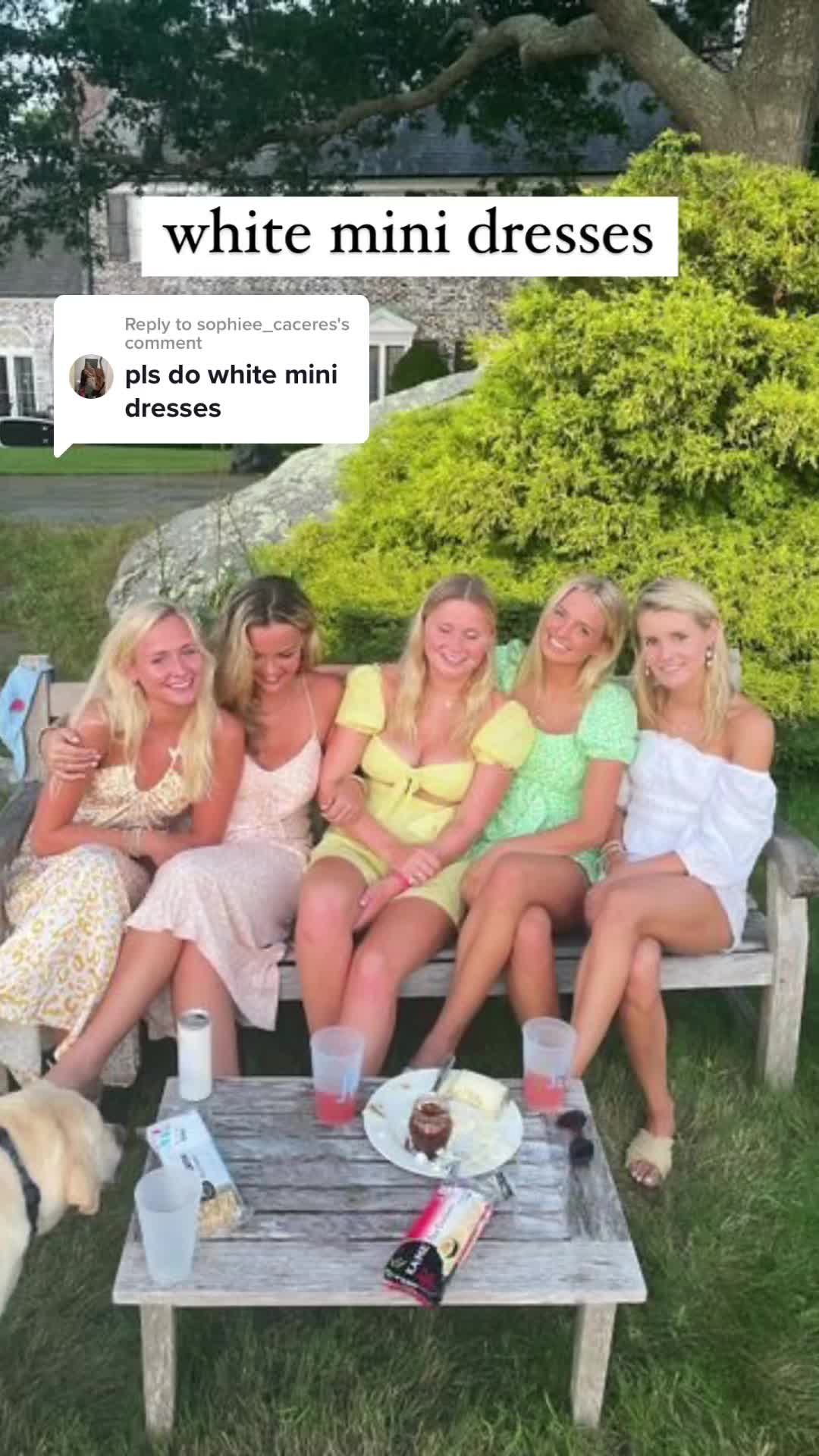 @💗🚕⚡️🐅