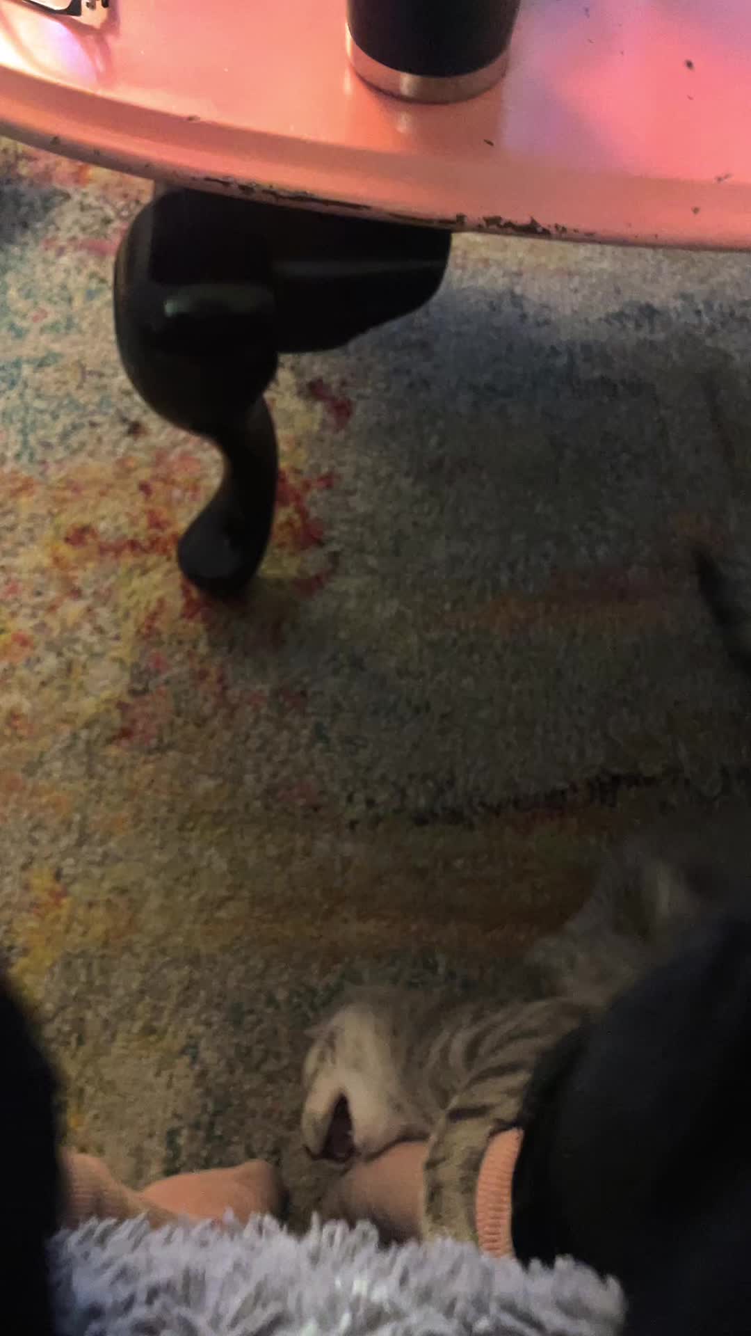 @ari