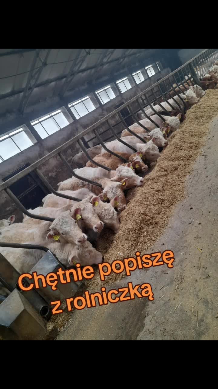 @Rolnik Kujawy
