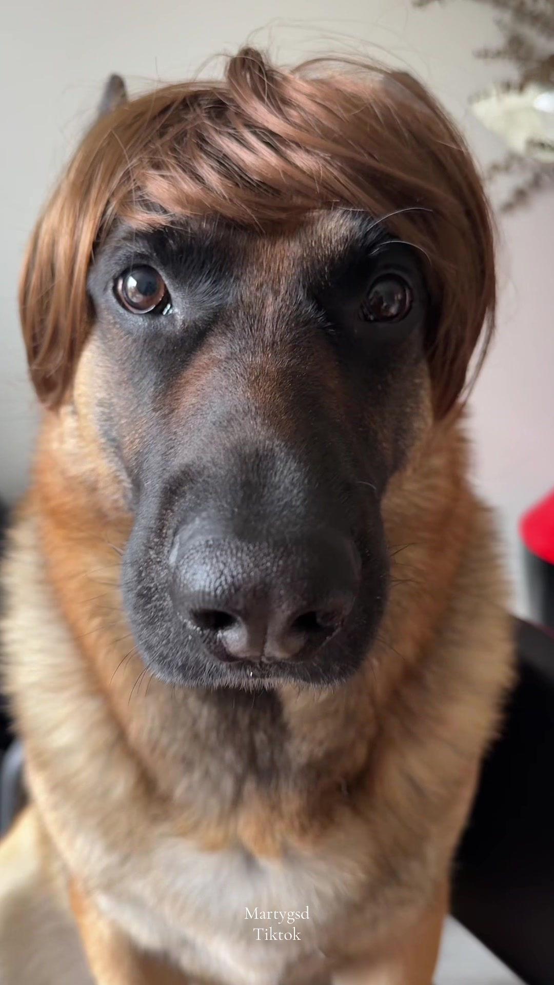 @Martygsd