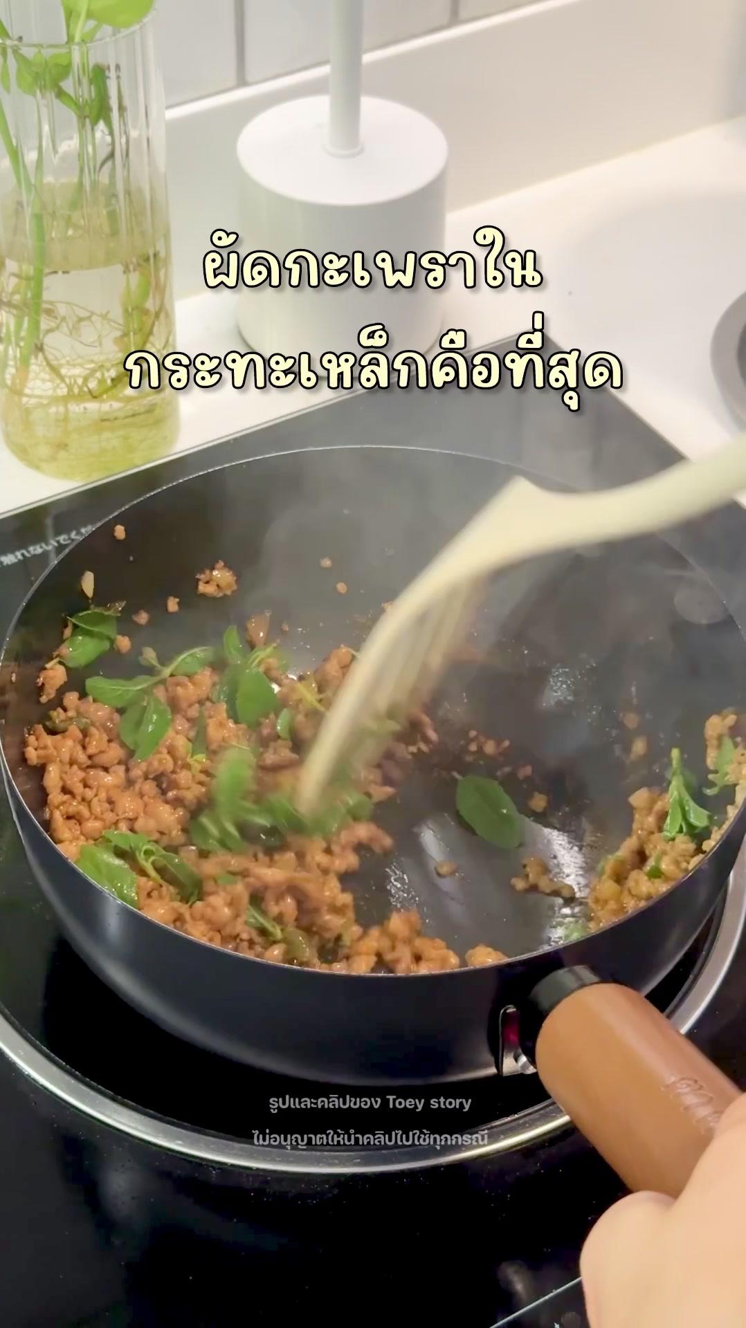 @Toey Story