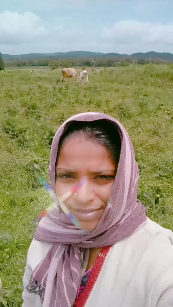 @pavinaga