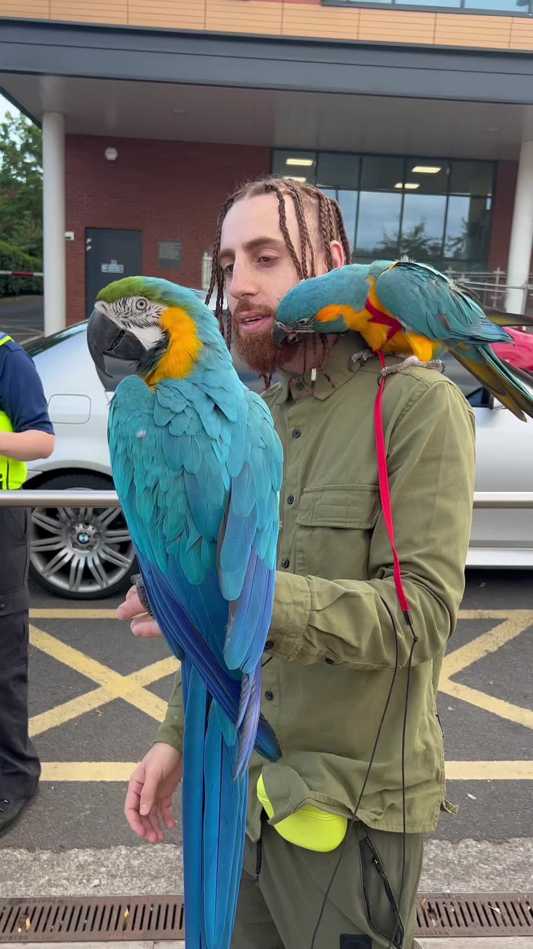 @Birdman🦅
