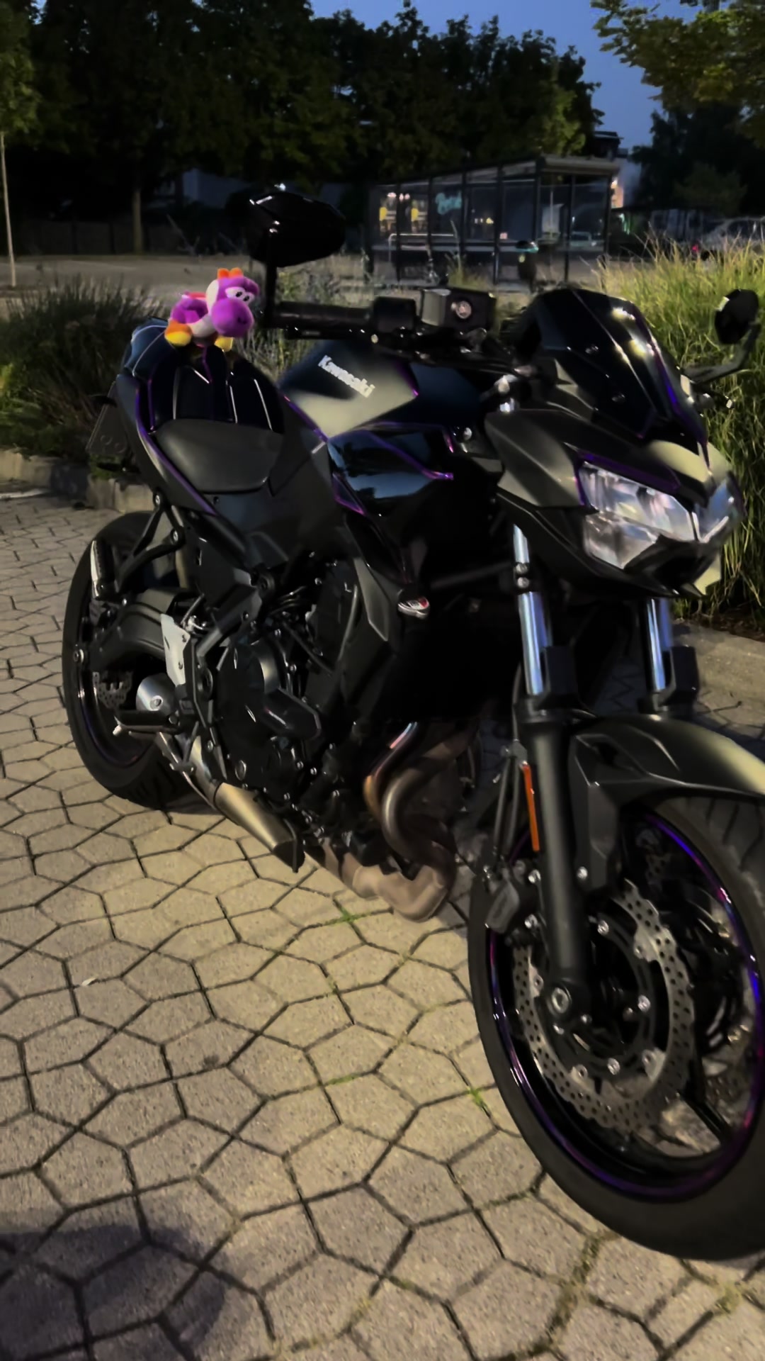 @angx.z650