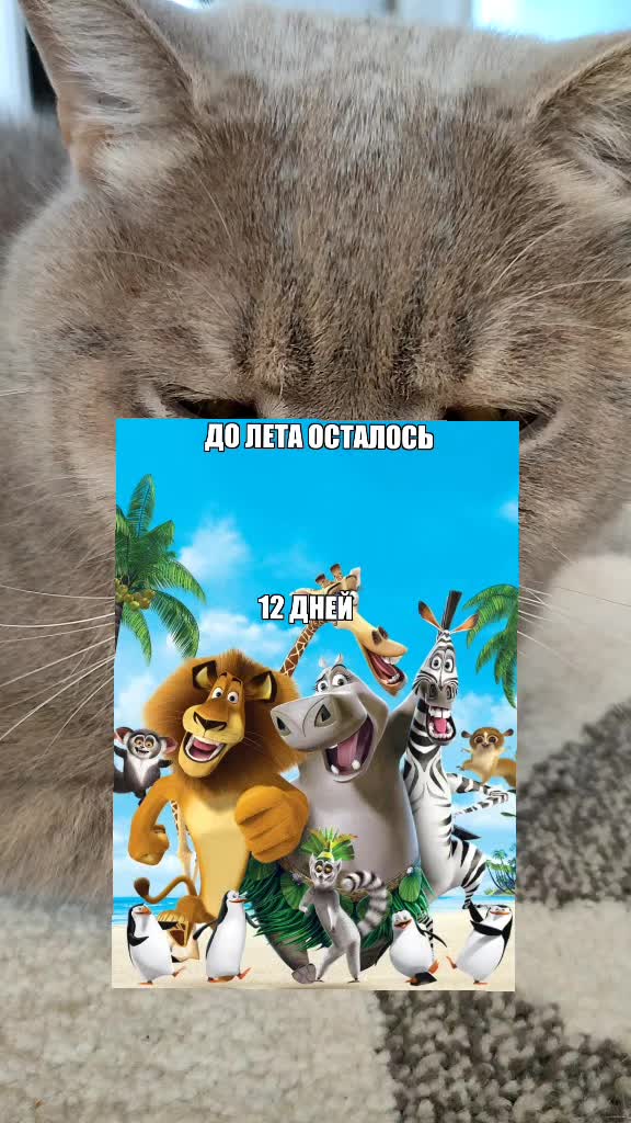 @꧁ꕥ𖠌😻𝓛𝓮𝓿&𝓔𝓶𝓶𝓪𓃠✪ꕥ꧂