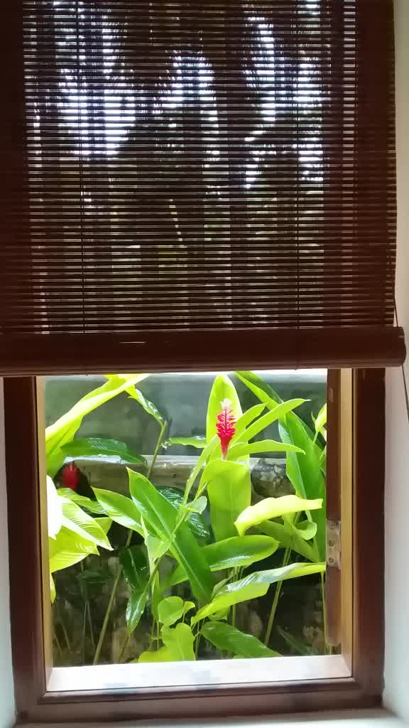 @Rakhul shyamraj