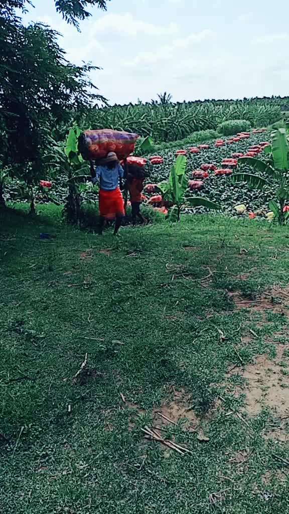 @Ram_Rachu