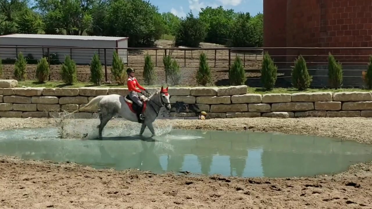 @TheHorseGallery