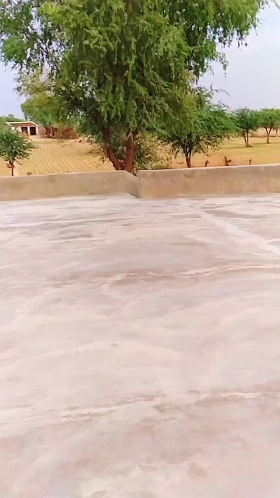 @Princeummed786