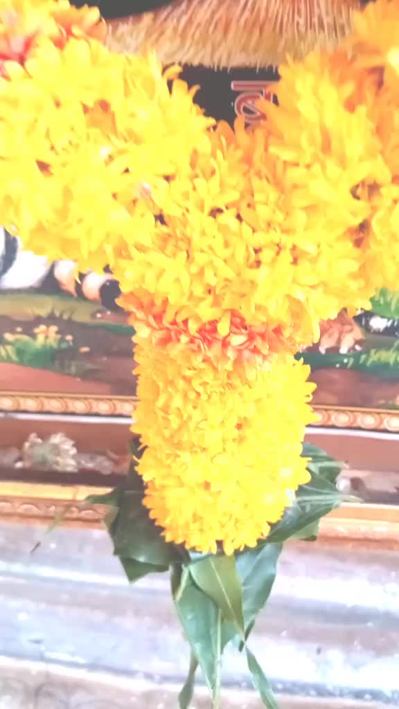 @Ahemad_Shaikh