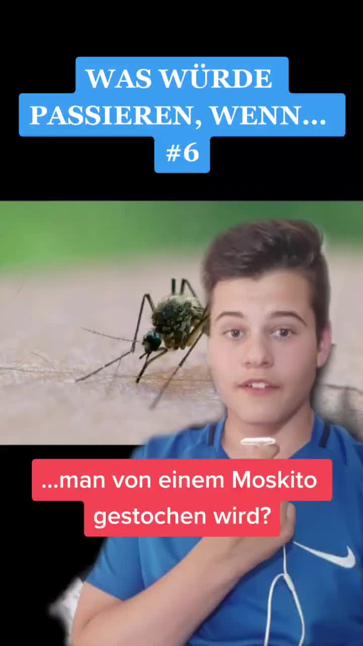 @Schulzi👑
