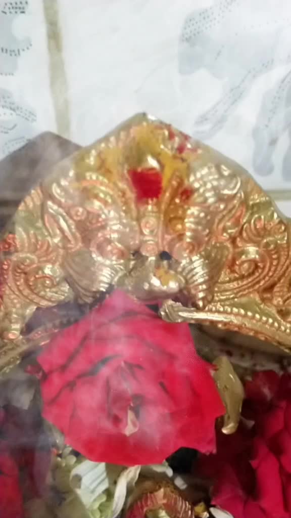 @vishu Roopa