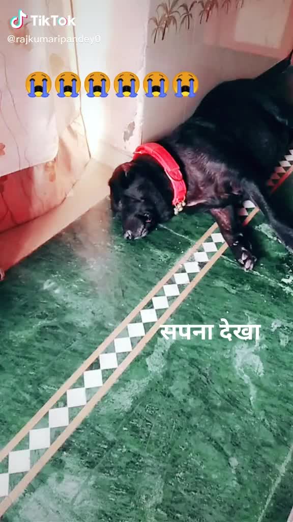 @{Aadeebaisoya}0007