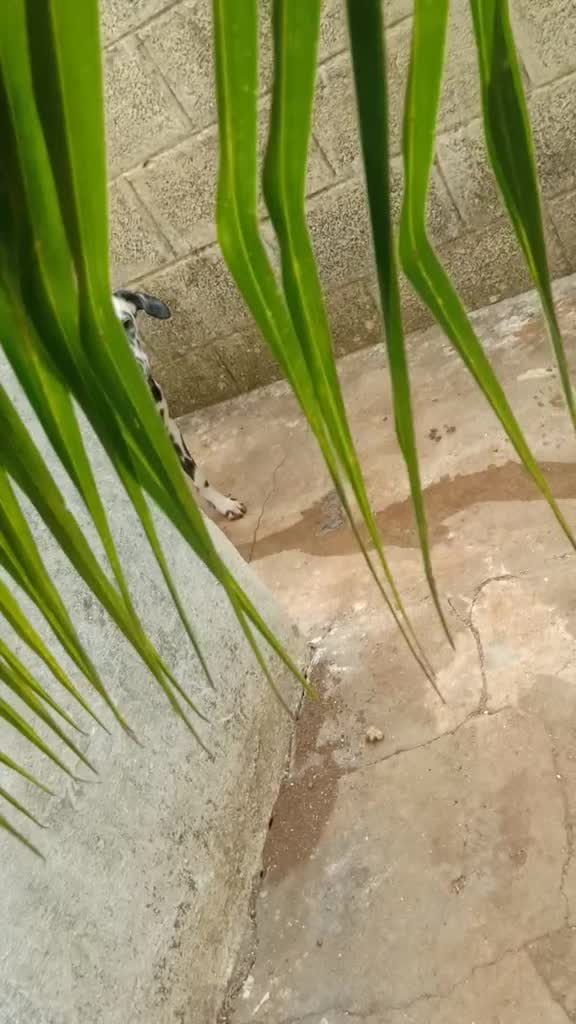 @Jeen_kanmani