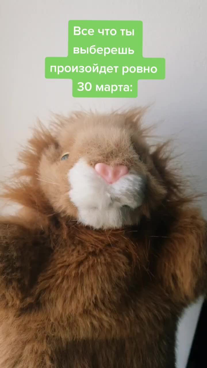 @Львенок Симба