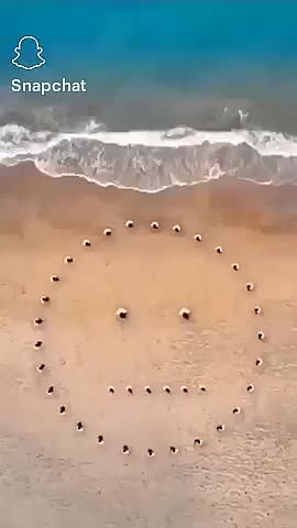 @𝗡𝗶𝗳..❤️🥺