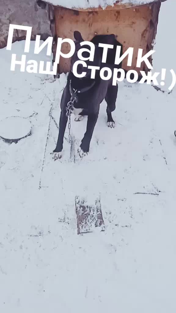 @Ирочка Я