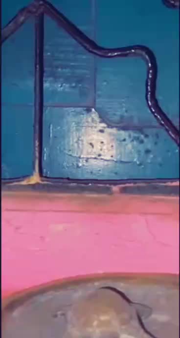 @G∆N€$H