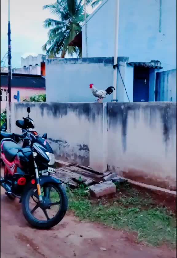 @Mr_Riyaan_606