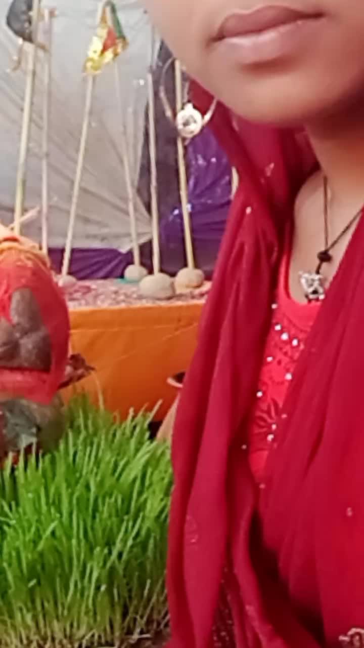 @krishna
