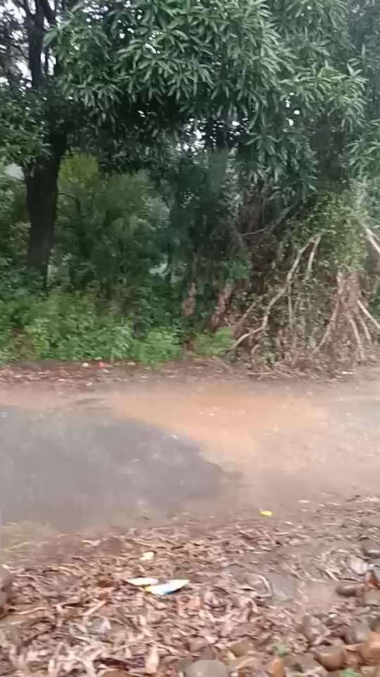 @kanavrajput427271653
