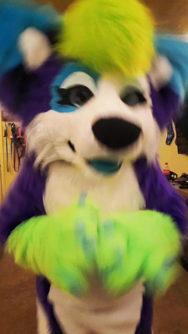 @Luna Husky
