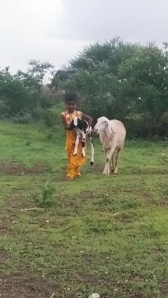 @Ganesh Zalte