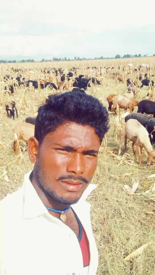 @ಕುರಿಗಾರ ಹುಡುಗ
