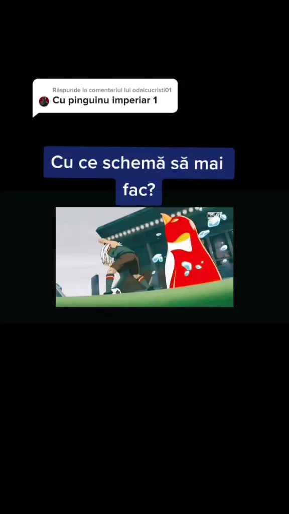 @Andrei Bodescu