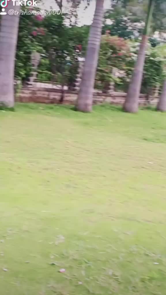 @user65813233782