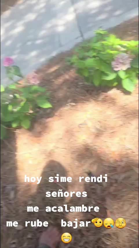 @eduar 5