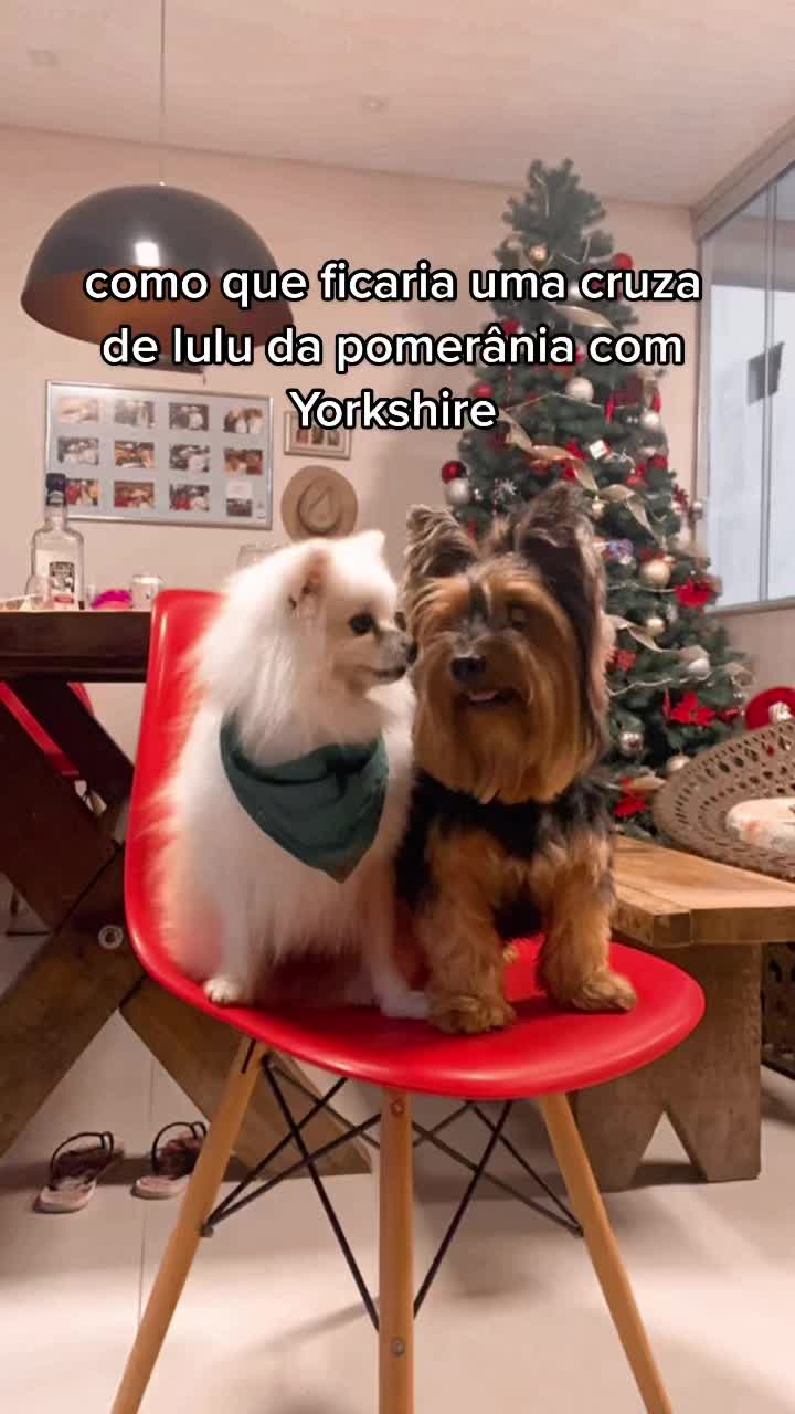 @Zara