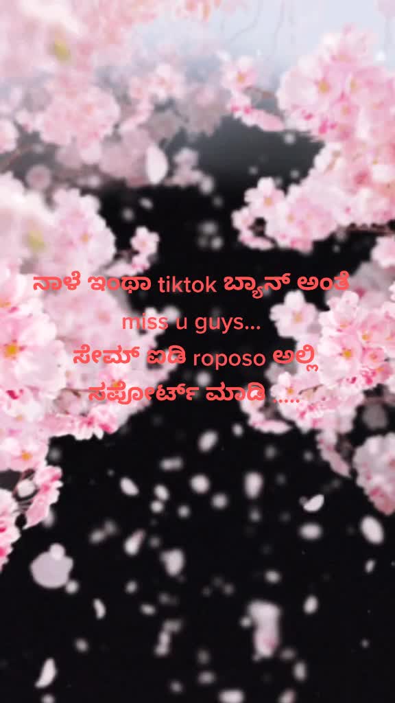 @urmi