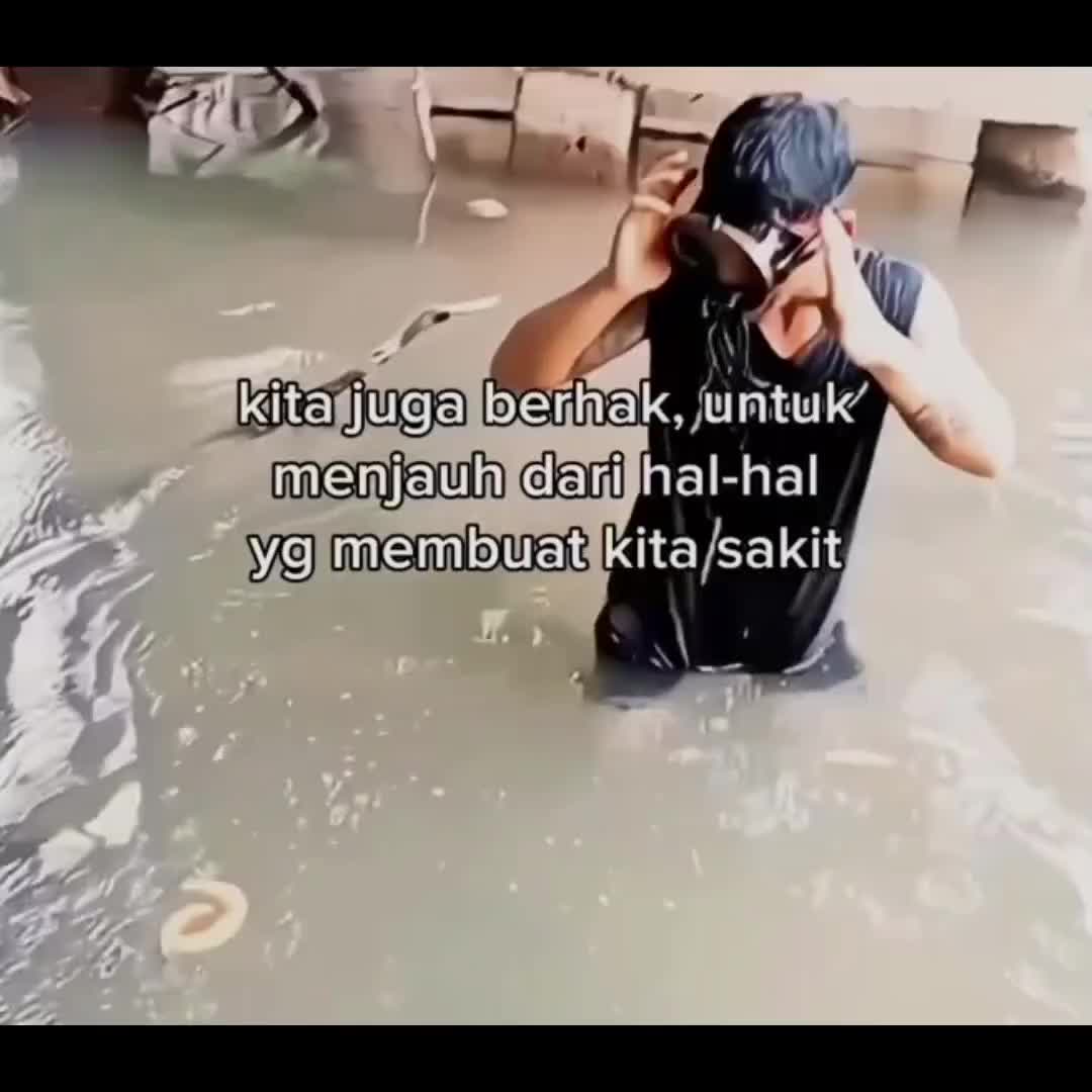 @yotamapr