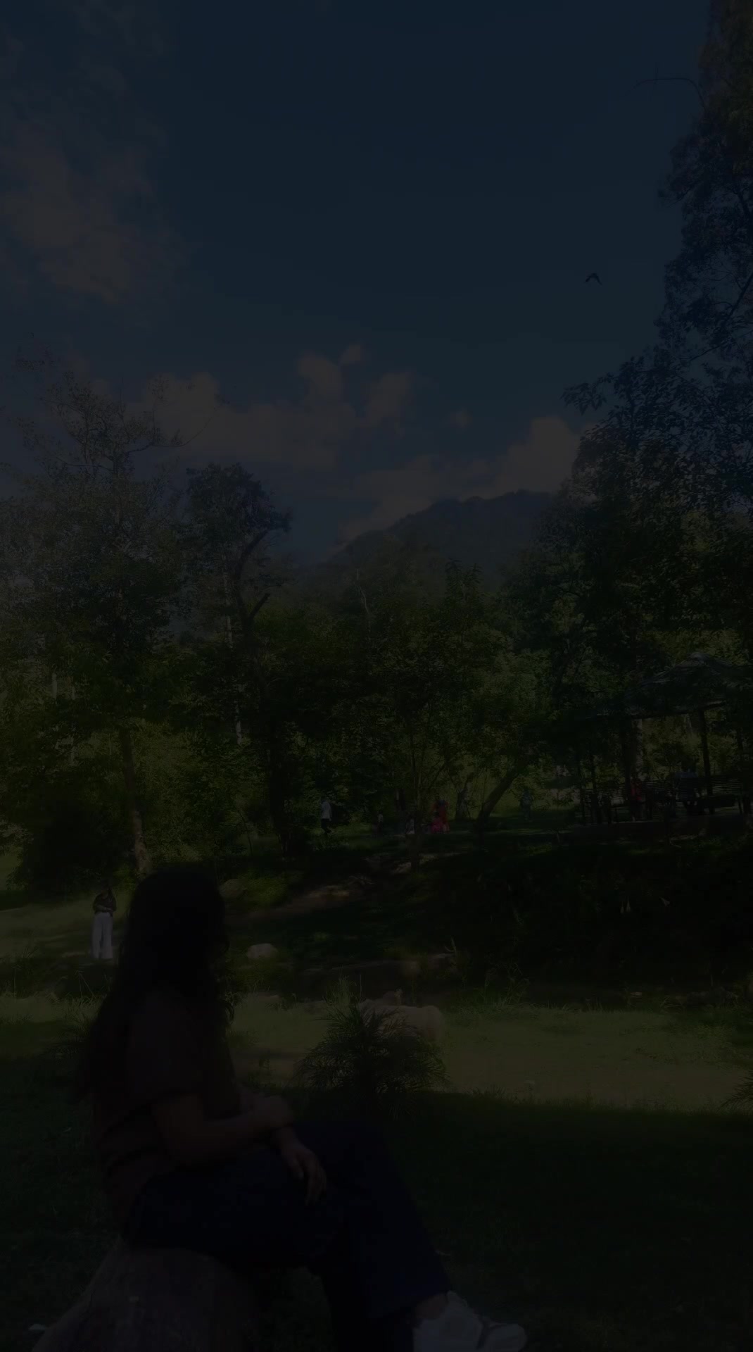 @🌒