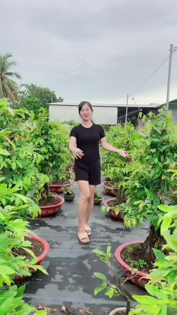 @Chichchoebong79