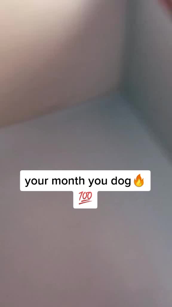 @LeTwoBros