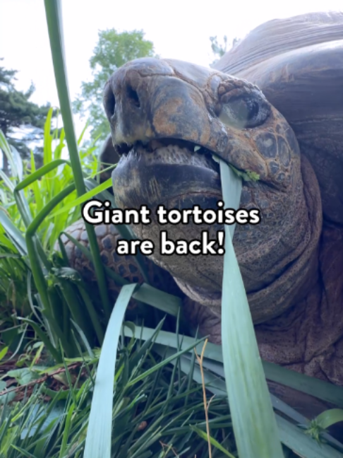 @The Toledo Zoo