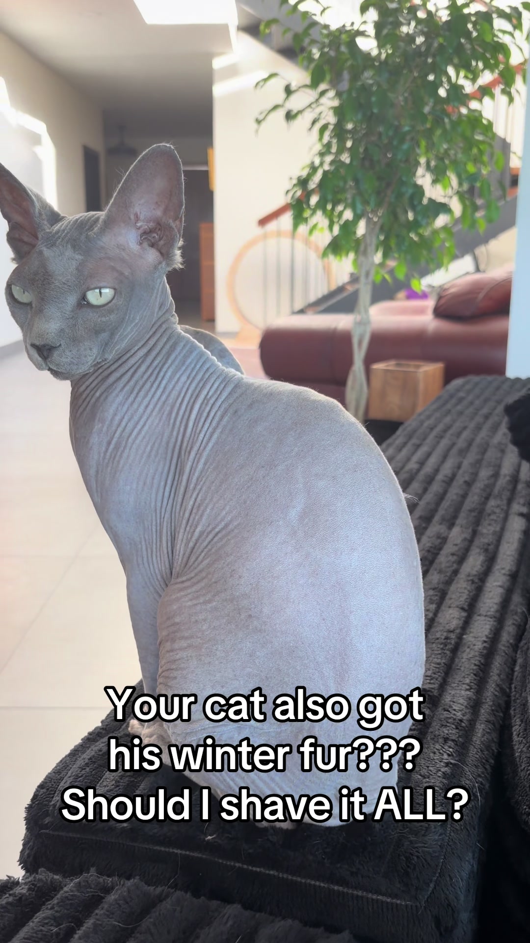 @KPaola