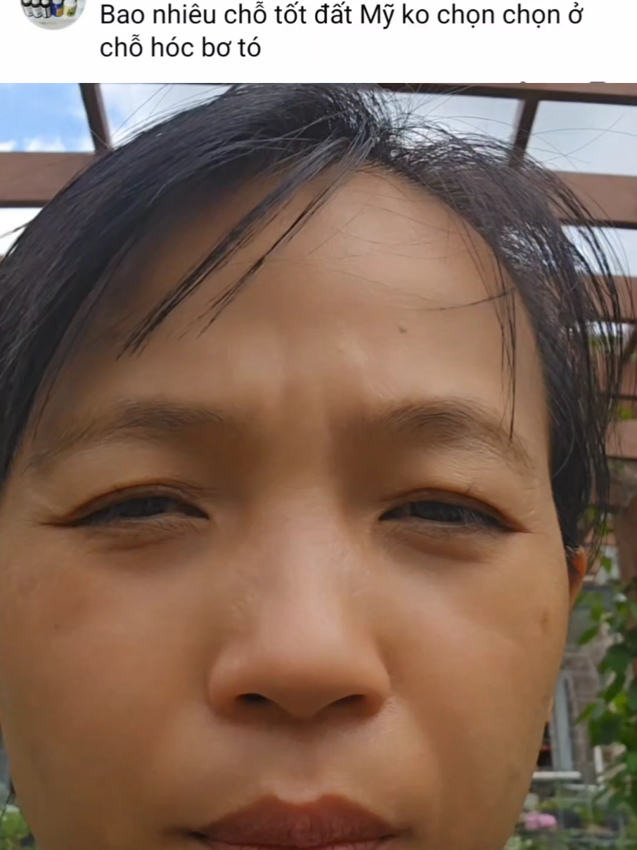 @Vợ Việt Chồng Amish