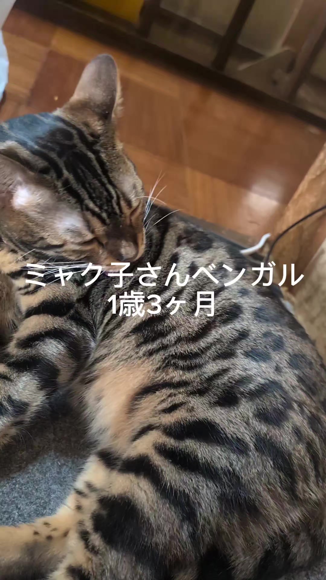 @睡眠プロデュース