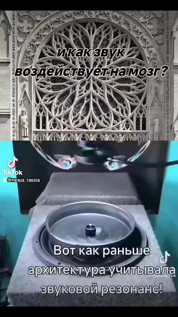 @🇷🇺НЕКСУС🇷🇺