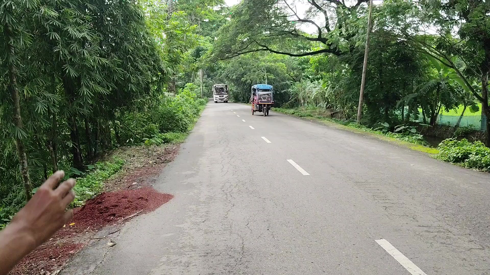 @bus lover joy