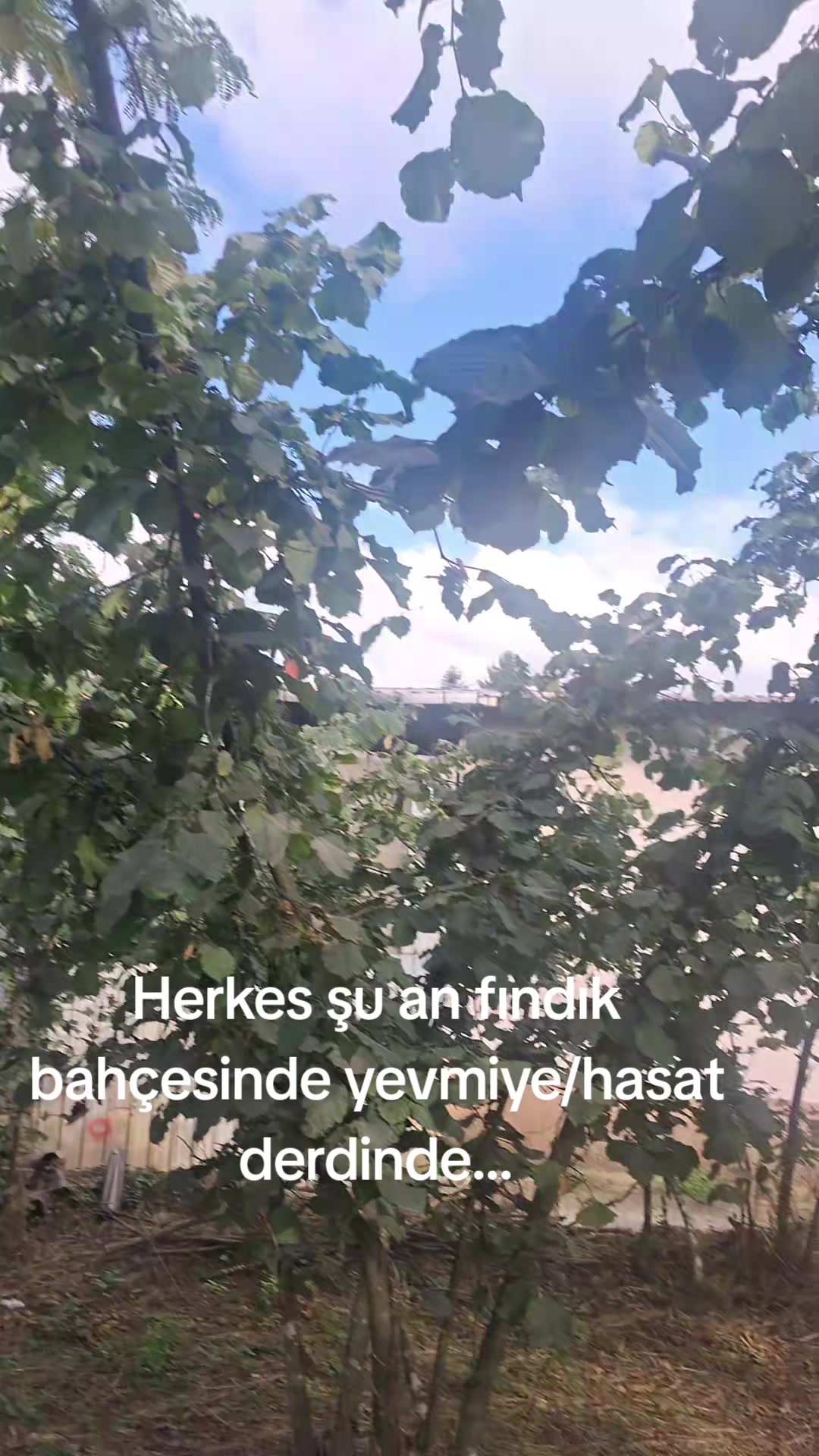 @💕Mustafa♾️Yasemin💕