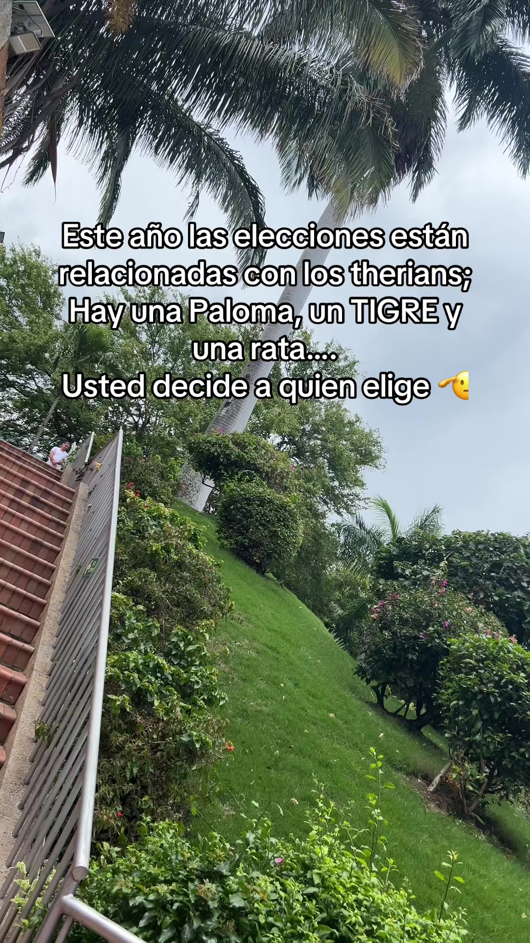 @Tarazona 🫀