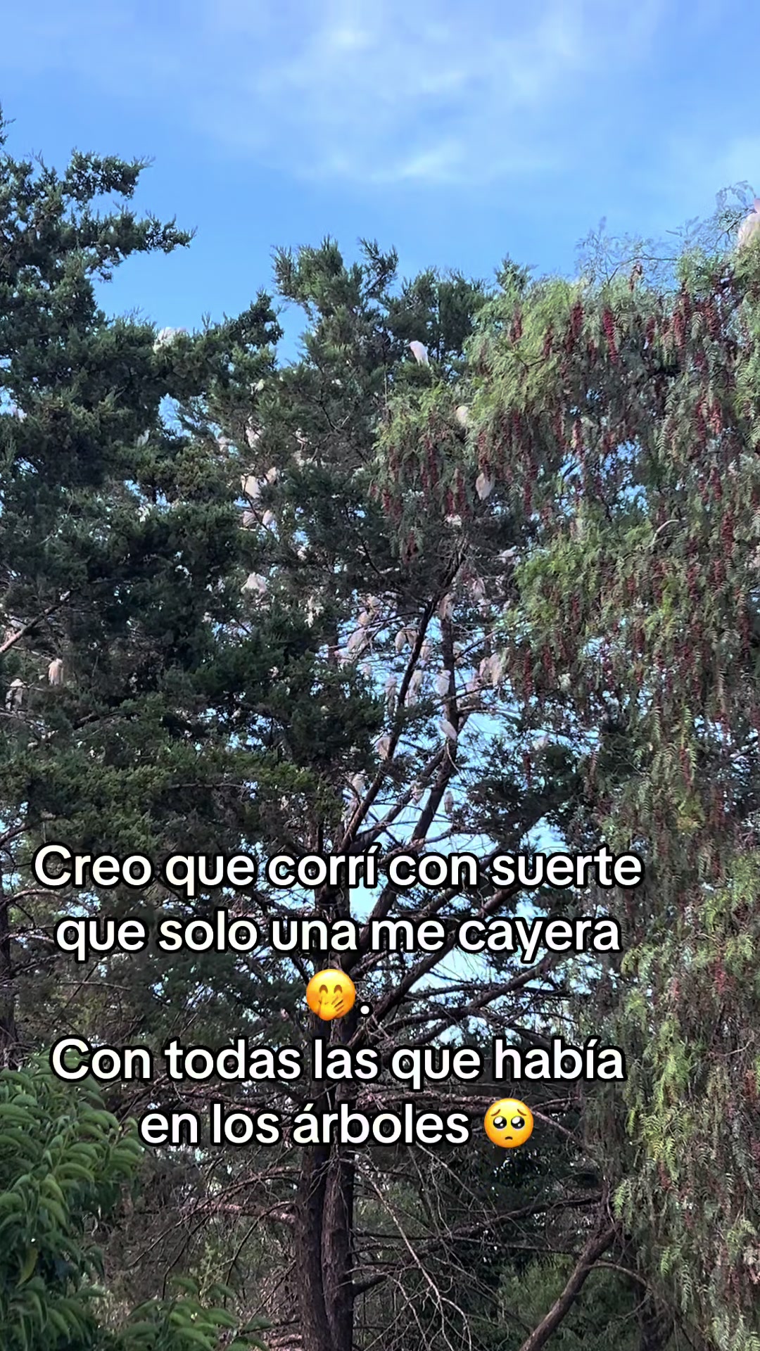 @Chely Glez