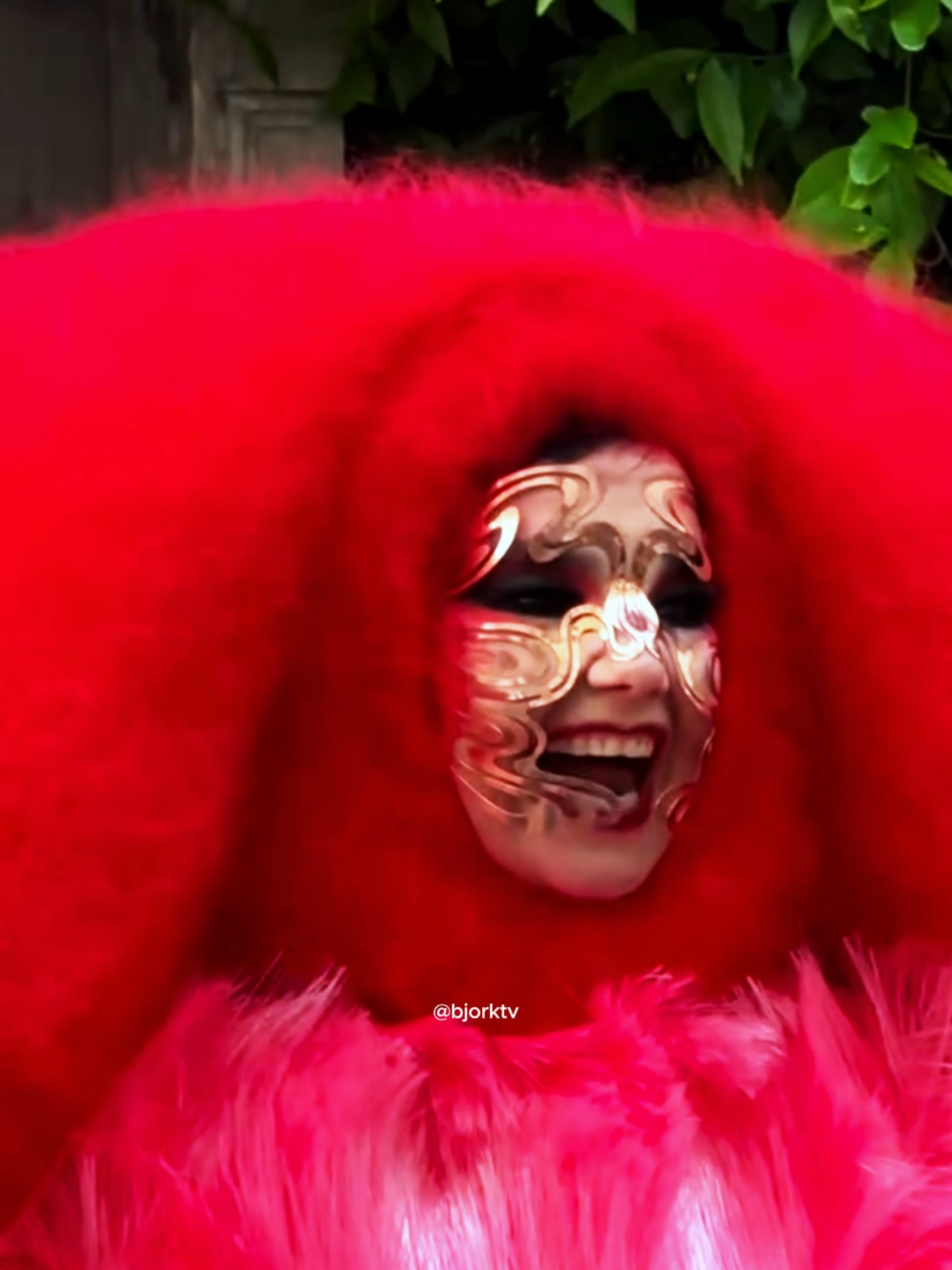 @björk