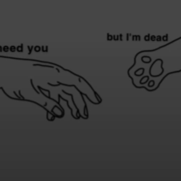 @Ame_Countryhumans_Ohlolu