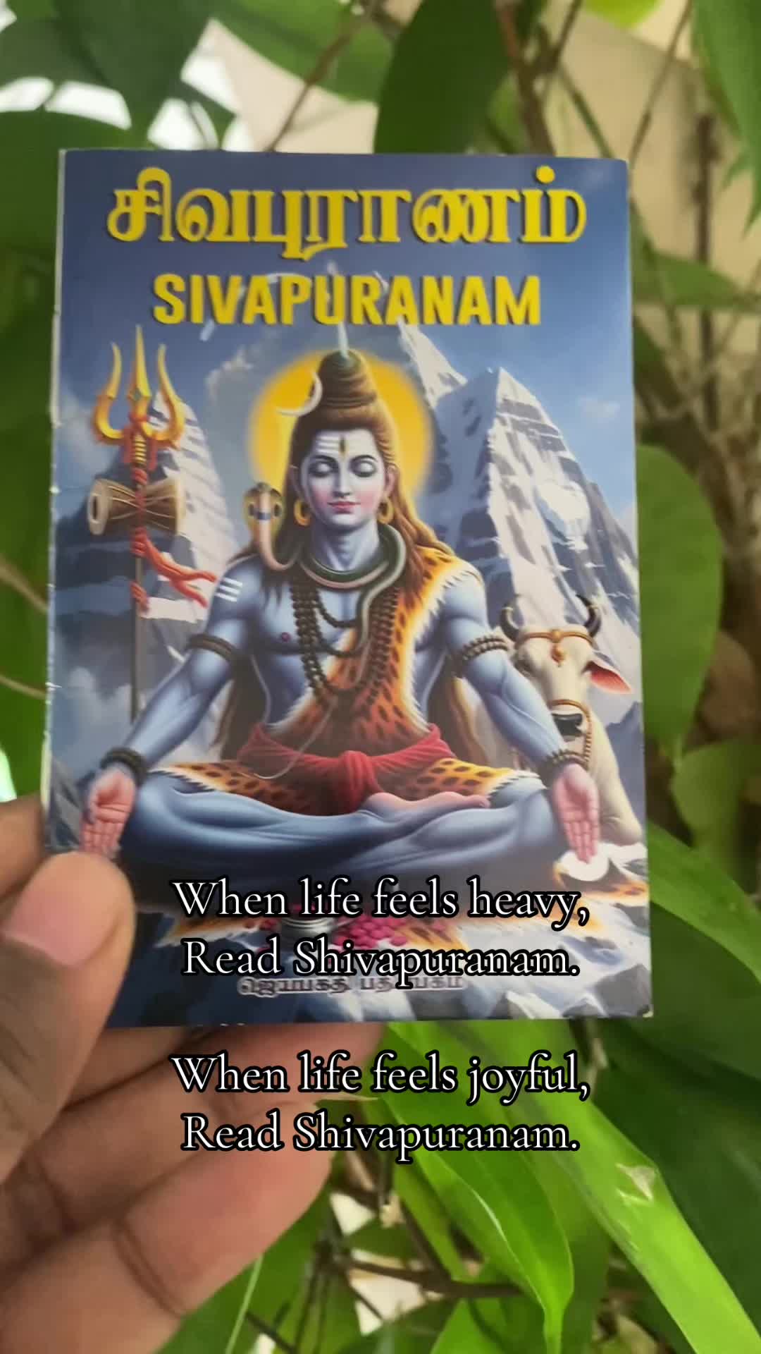 @Rudraksha Empire