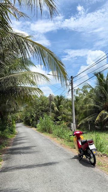 @Đinh văn th&aacute;i